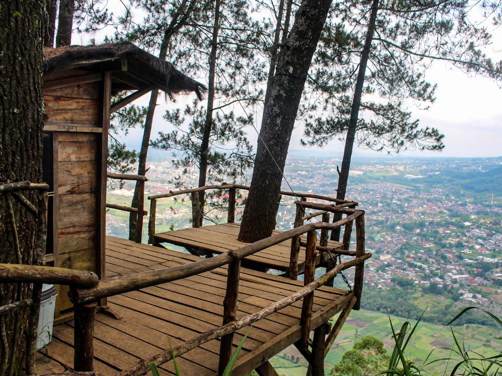 Cabane dans les arbres à Bordeaux