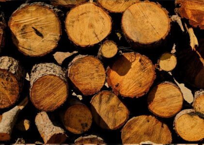 Les 5 bois à éviter à tout prix dans votre poêle à bois  !