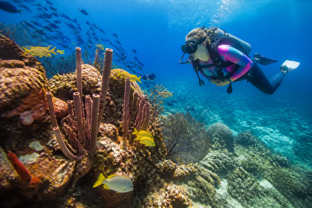 Découvrez les meilleurs spots de snorkeling en Guadeloupe