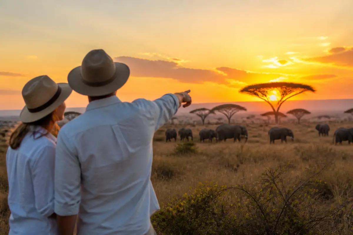 Quand partir en Tanzanie : guide des meilleures périodes
